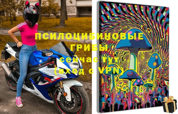 ГАЛЛЮЦИНОГЕННЫЕ ГРИБЫ Алексеевка