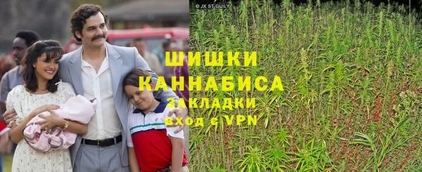 ГАЛЛЮЦИНОГЕННЫЕ ГРИБЫ Алексеевка