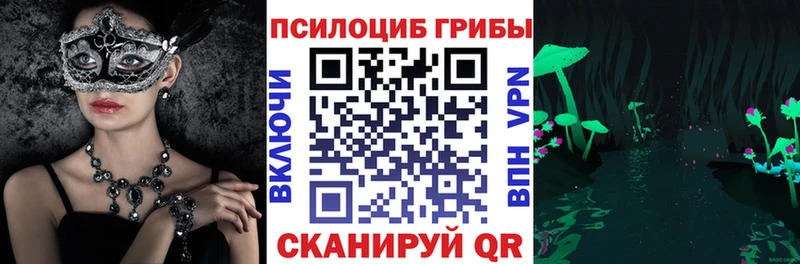 OMG вход  Елизово  Галлюциногенные грибы Psilocybine cubensis 