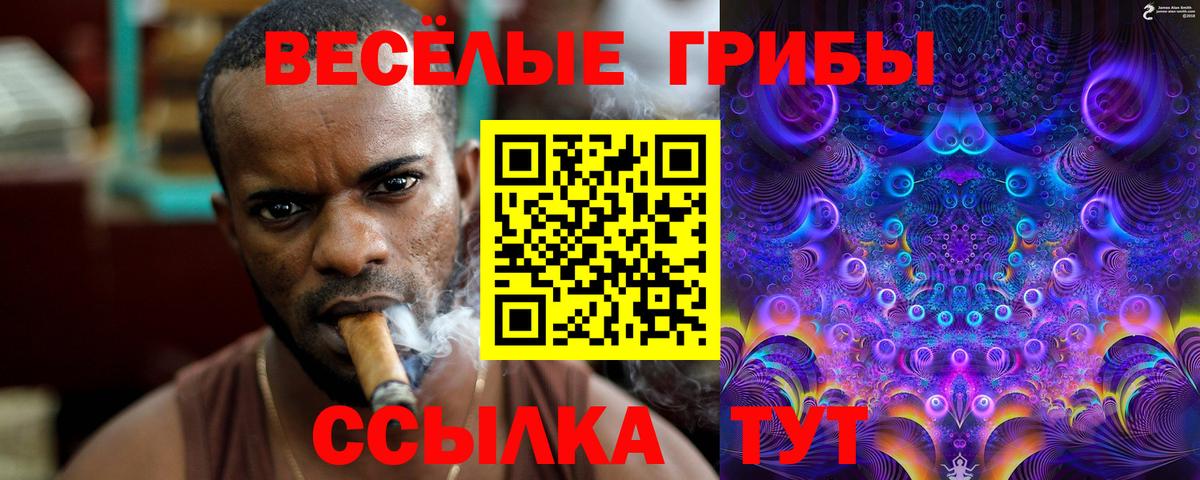 Галлюциногенные грибы Psilocybe Елизово
