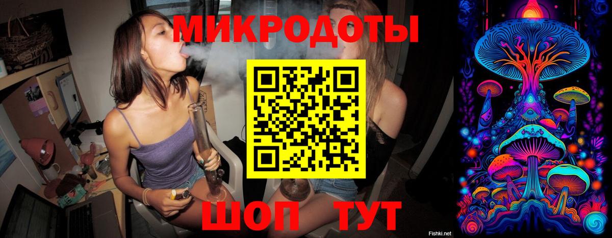 Галлюциногенные грибы Psilocybe  Вход с VPN  Елизово 